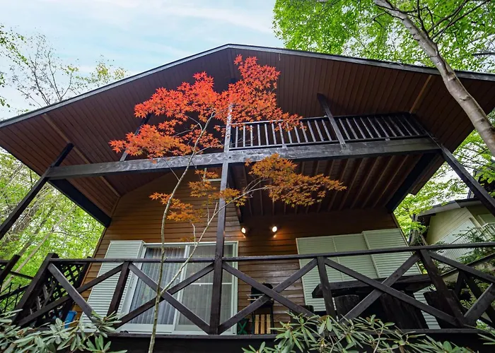 鳥の街77号北軽井沢#木の香りに包まれる癒しの木house#吹き抜けのある貸切別荘#Bbq#ダーツ#カラok#大画面プロジェクター#駐車可